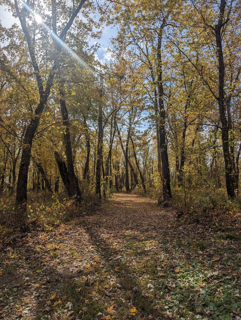 Walking trail through Lazy L Lake Campground with shaded paths and lake views